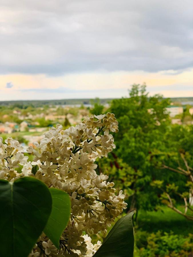 Гостевой Дом "Дача Салтов" Staryy Saltiv Buitenkant foto